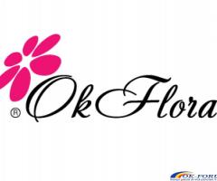 Flori de lux și trandafiri criogenați – livrare București