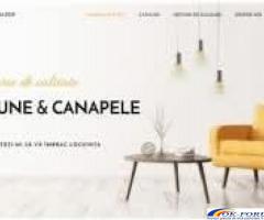 Tapiter reparatii  canapele fotolii  **61014844
